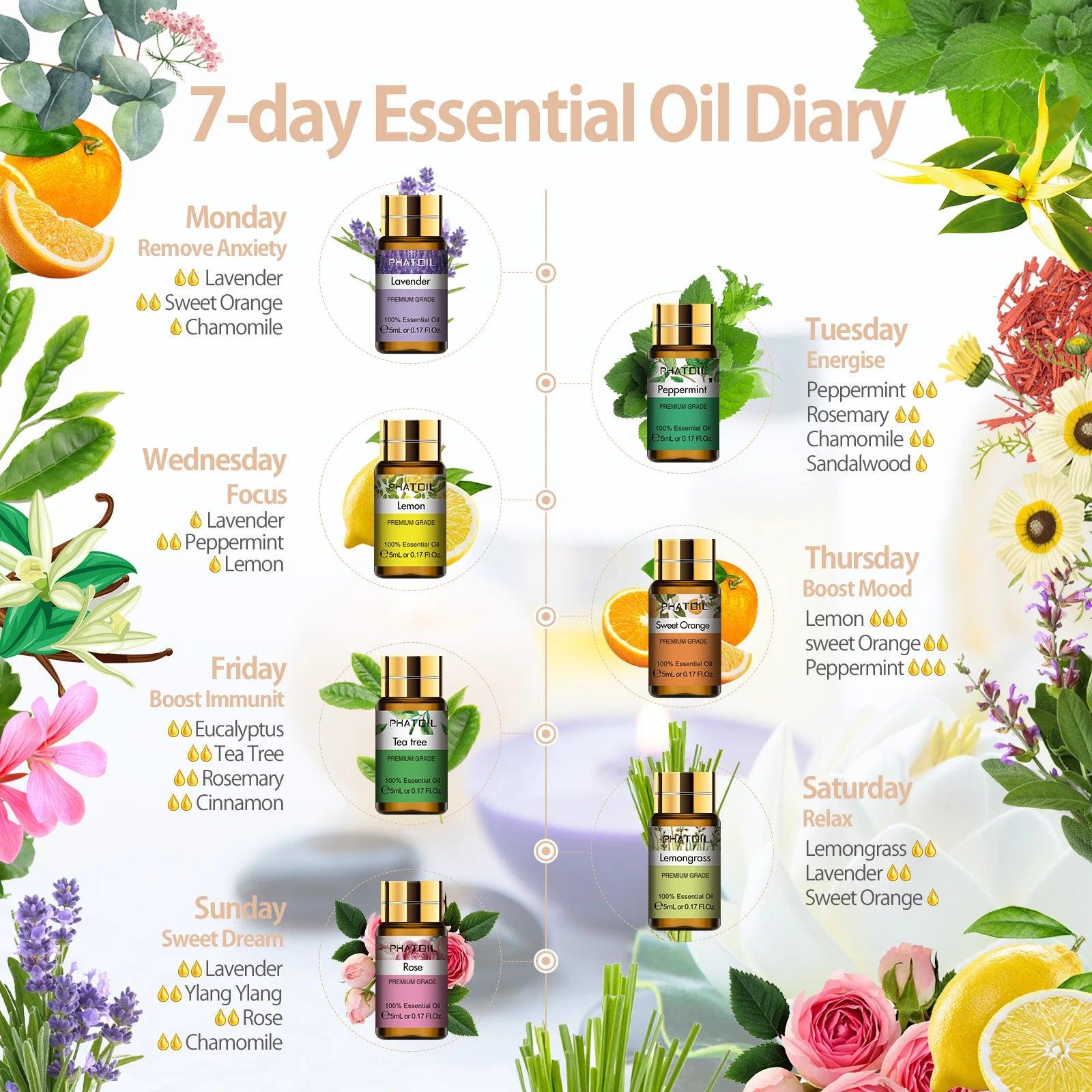 Essential Oils 15 Piece Set